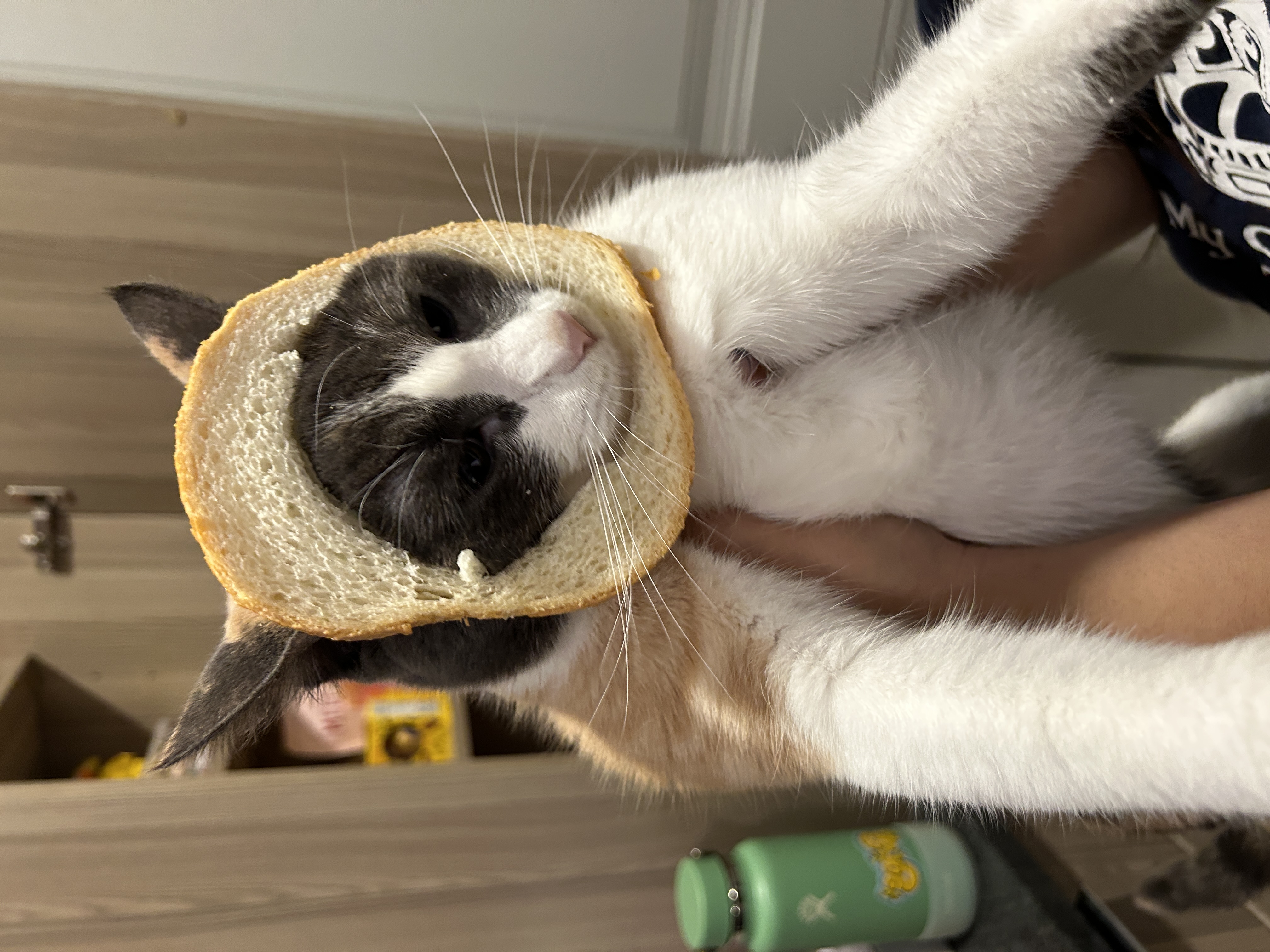 Ube